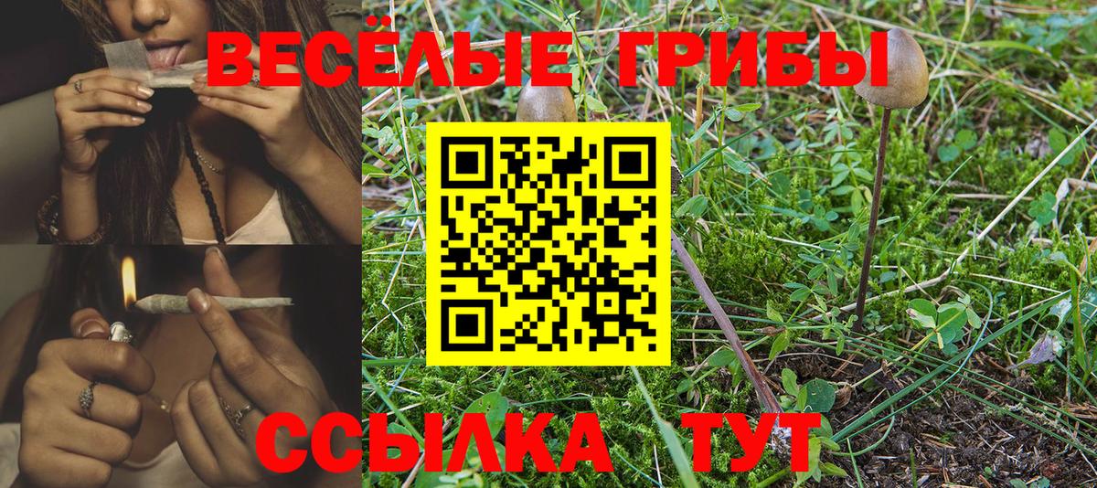 Псилоцибиновые грибы мухоморы Жигулёвск