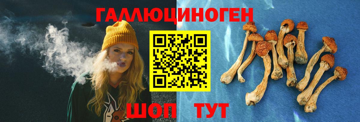 Галлюциногенные грибы Magic Shrooms  Вход с VPN  Жигулёвск 